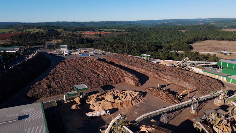 Pátio de Madeiras Guararapes